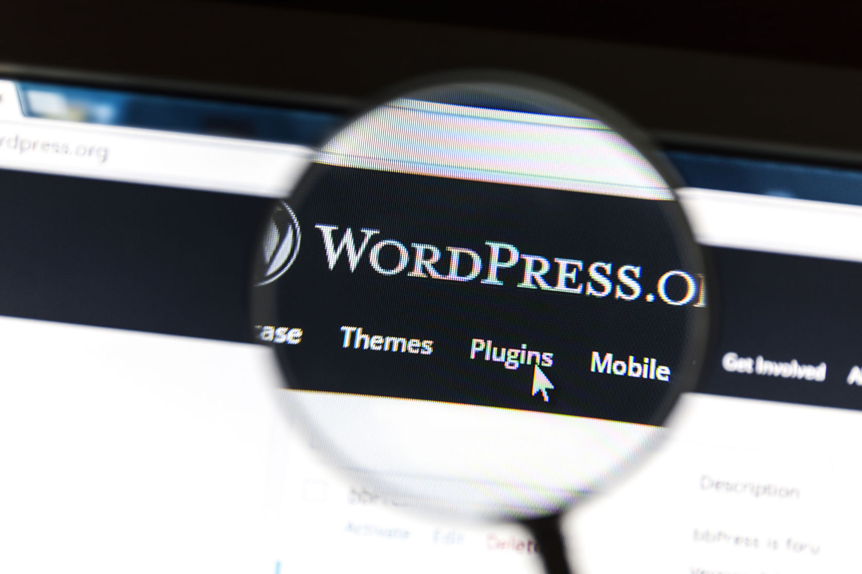 Plugins para la optimización de WordPress